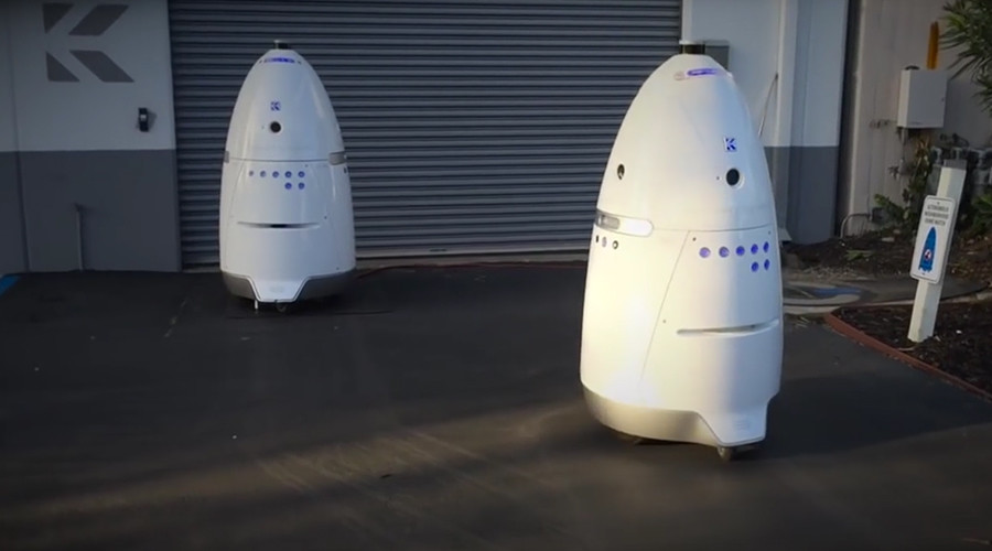 ‘Drunk guys in Silicon Valley are spineless’: Man condemned for beating up robot
