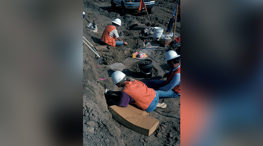 ‘Extraordinary evidence’ shows humans in North America 100,000 years earlier than first thought