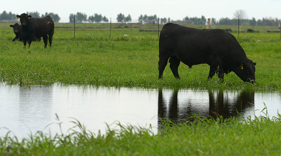 Russia to start first beef exports to Japan