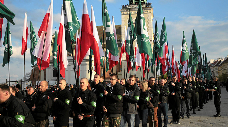 ‘Free from fascism!’ Police step in after protesters disrupt nationalist march in Poland (VIDEOS)