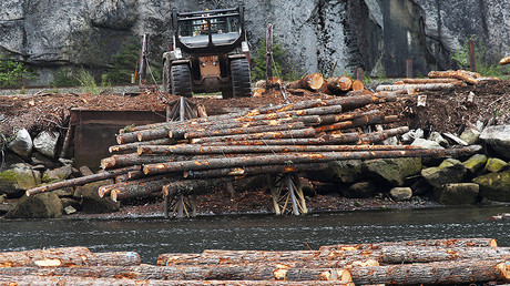 Logs are pushed into the water at Squamish Mills Ltd in Howe Sound near Squamish, British Columbia, Canada April 25, 2017. © Ben Nelms