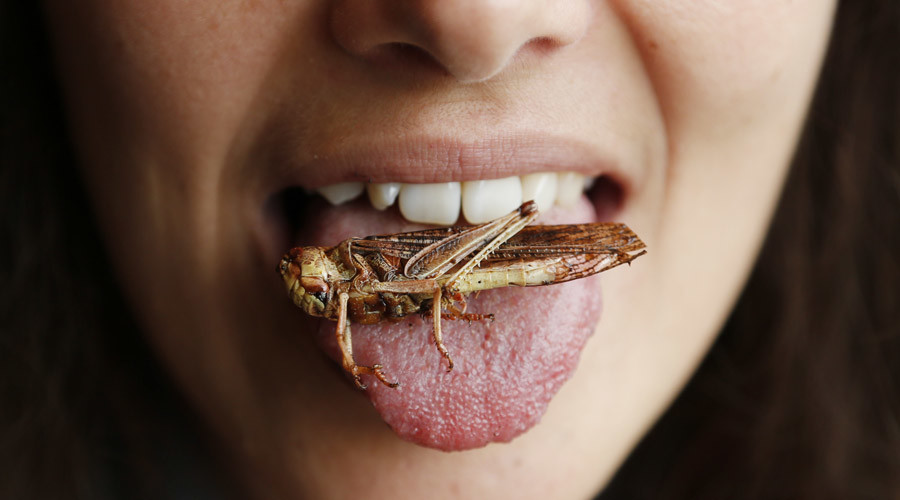 Cordon bleurgh: Burgers, meatballs made from insects on sale in Swiss supermarkets