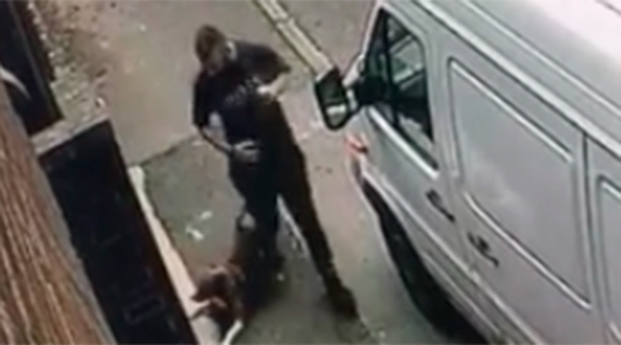 Dog savagely beaten by man in horrific footage (GRAPHIC IMAGES)