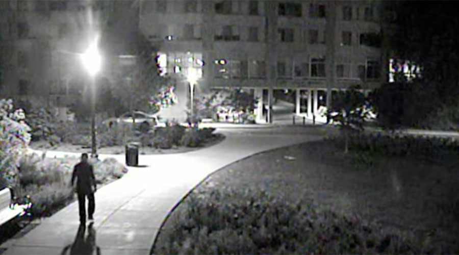 FBI aids in ‘hate crime’ investigation of bananas hung from nooses at American University