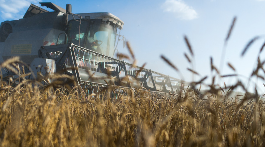 Russia to resume wheat exports to Turkey, Ankara told to keep tomatoes