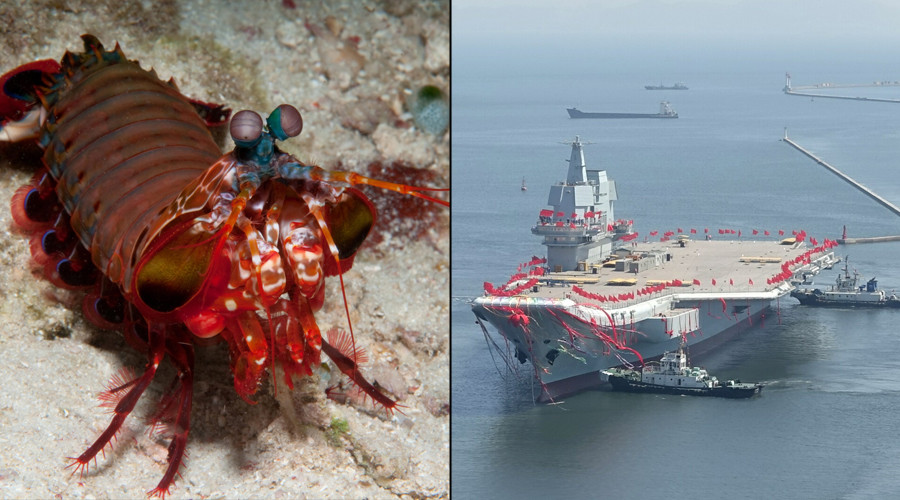 ‘Phi Phi shrimp’: China says it won’t name new aircraft carrier after online poll winner