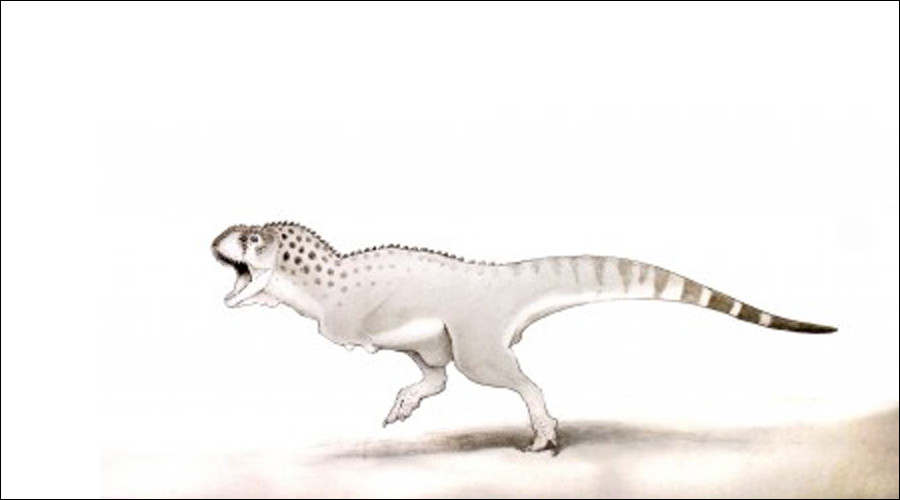 Last of the dinosaurs: Fossil of African T. rex contemporary found in Moroccan mine