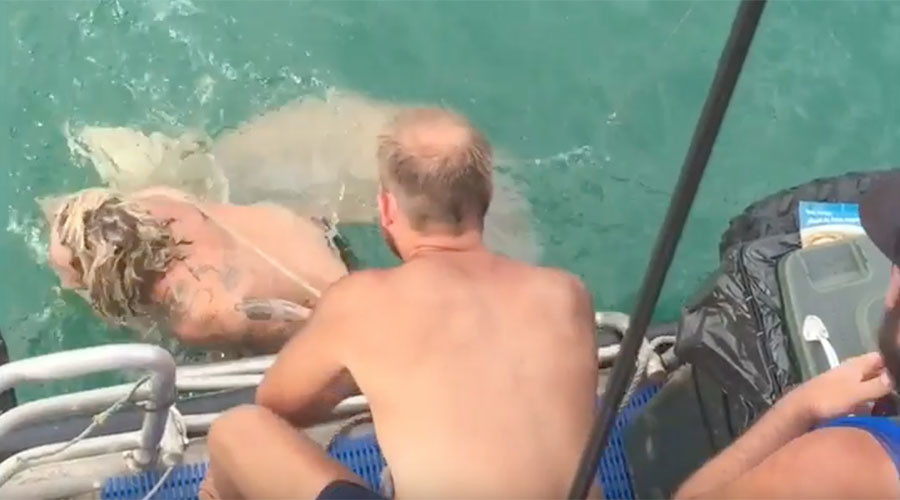 Shark takes bite out of fisherman’s leg after crazy attempt to lasso its tail (VIDEO)