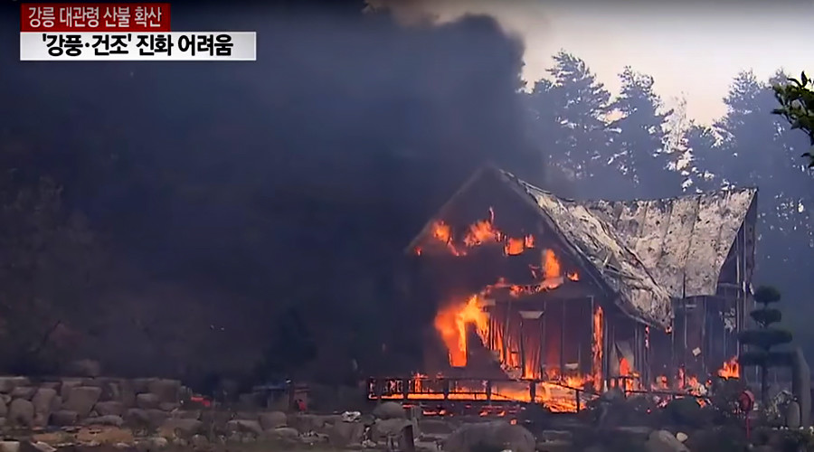 Raging forest fire forces hundreds from their homes in South Korea (PHOTOS, VIDEOS)