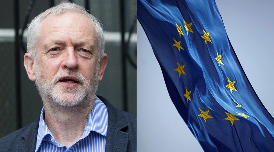 Tories accuse Eurocrats of rooting for Labour (VIDEO)