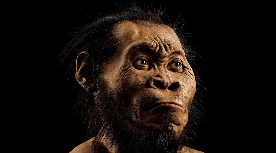 Homo sapiens not alone, may have evolved with ‘stolen technology’ (VIDEO)
