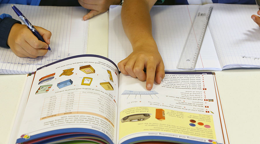 ‘Anatomically correct’ clitoris appears for 1st time in French textbooks after feminist campaign