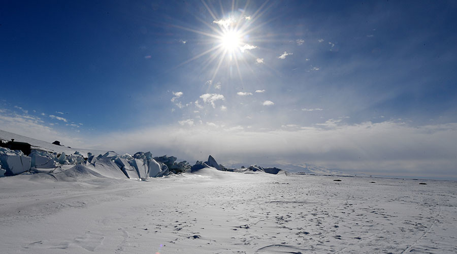 Going green: Climate change having ‘dramatic’ effect on Antarctica's complexion