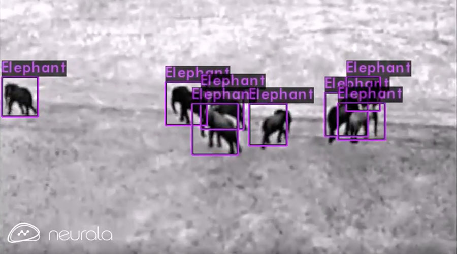 Charles Lindbergh Foundation’s AI drones fighting animal poachers (VIDEO)