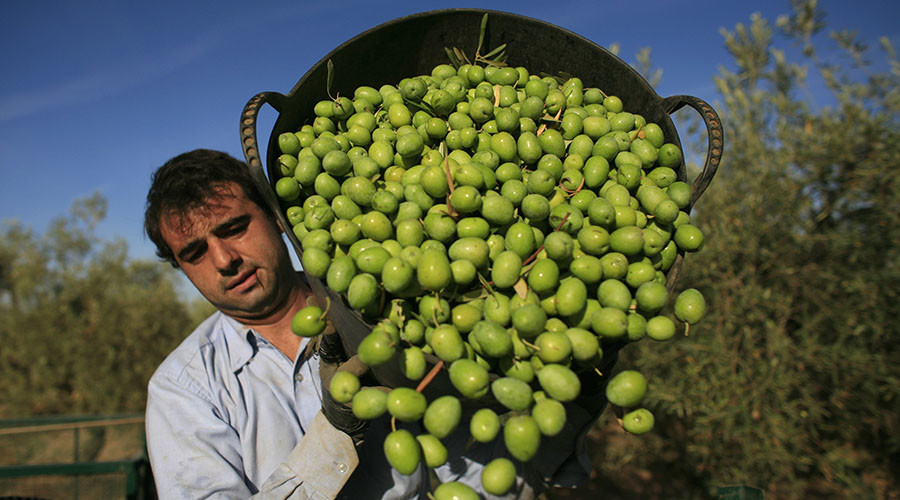 Mediterranean drought leads to spike in olive oil prices