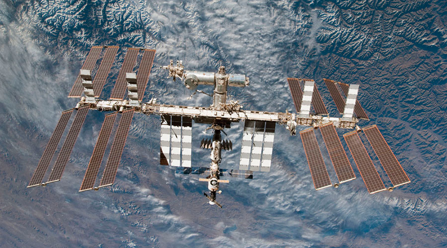 Frozen ‘space sperm’ survives trip to ISS to spawn healthy mice