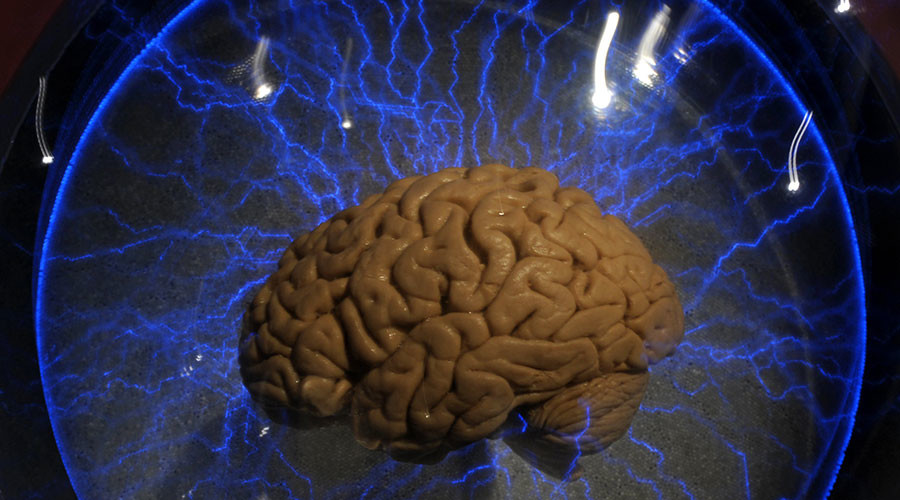 Scientists discover intelligence linked to 52 ‘smart genes’