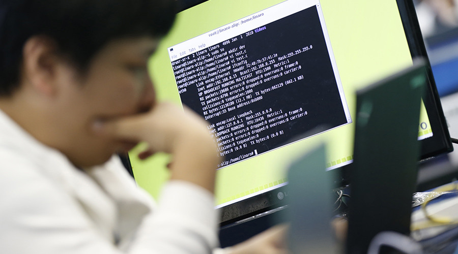 UN’s North Korea sanctions experts targeted by ‘sustained’ hack attack – report