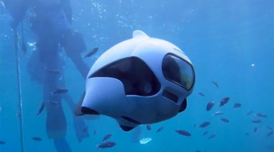 'World’s first’ bionic fish drone makes waves with Kickstarter success ...