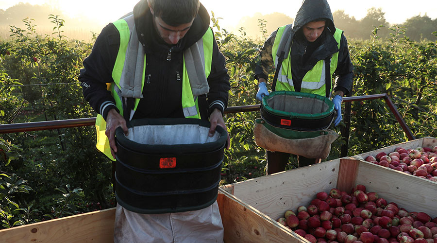 Net migration falls just as study concludes foreign employees do work harder… at first