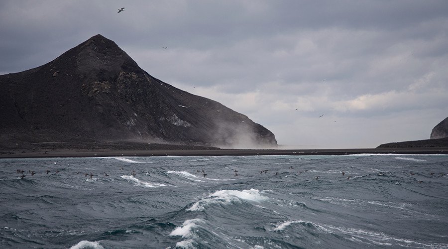 Volcano eruption creates 35,000ft high ash cloud in under 1hr (PHOTOS)