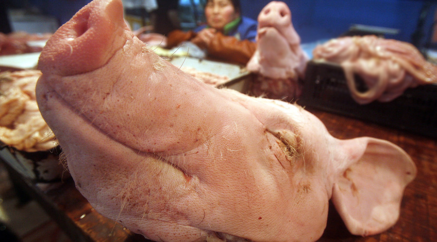 Pig's head, bowels found on 9 stakes at site of future mosque in Germany