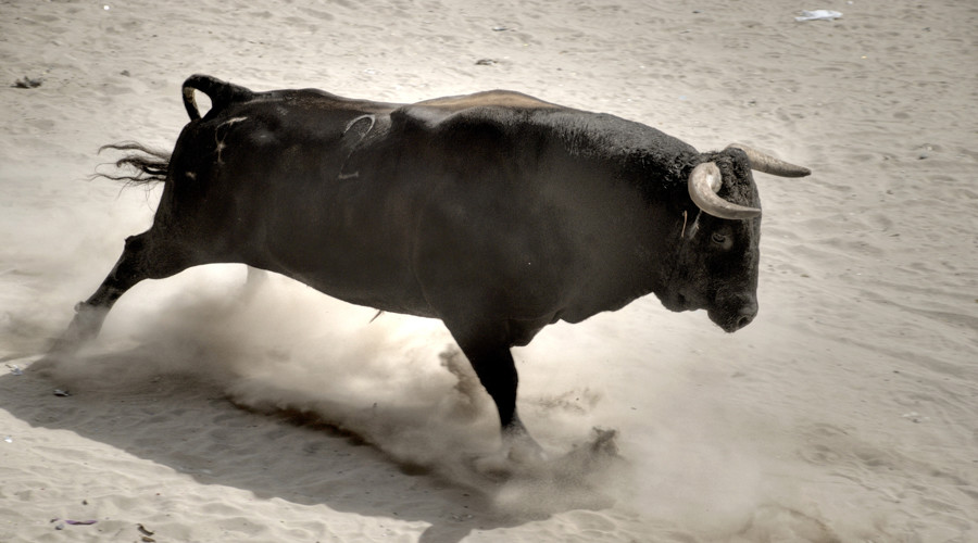 Rampaging bulls gore 12 at Peruvian ‘tail-pulling’ festival (GRAPHIC VIDEO)