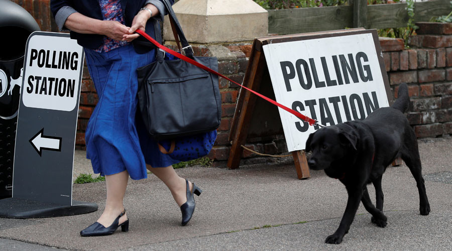 #DogsAtPollingStations may be best thing about UK General Election