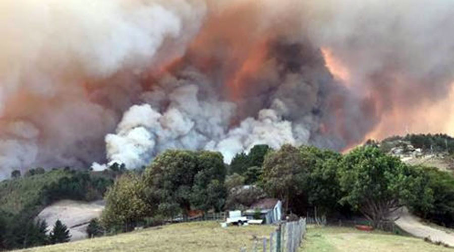 ‘The whole town is burning’: Deaths, mass evacuations as fire sweeps Western Cape (VIDEOS, PHOTOS)