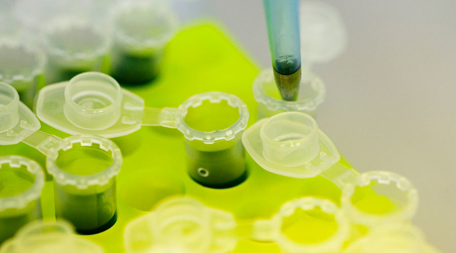 No valid evidence $40,000 miracle drug cures hepatitis C – study