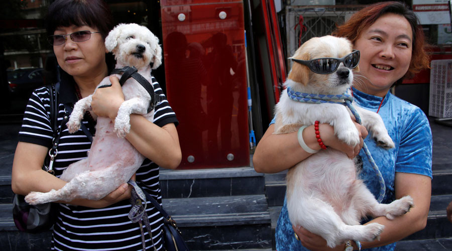 K9 crackdown: Chinese city bans 40 breeds in stringent new ‘one-dog policy’