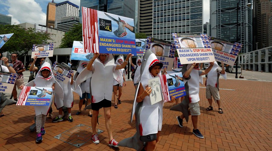 ‘Shark fin for shark only’: Hong Kong protesters in shark costumes march against fin soup (VIDEO)