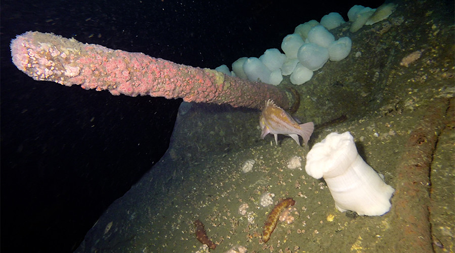 100 yo US military ship discovered off California coast (PHOTOS)