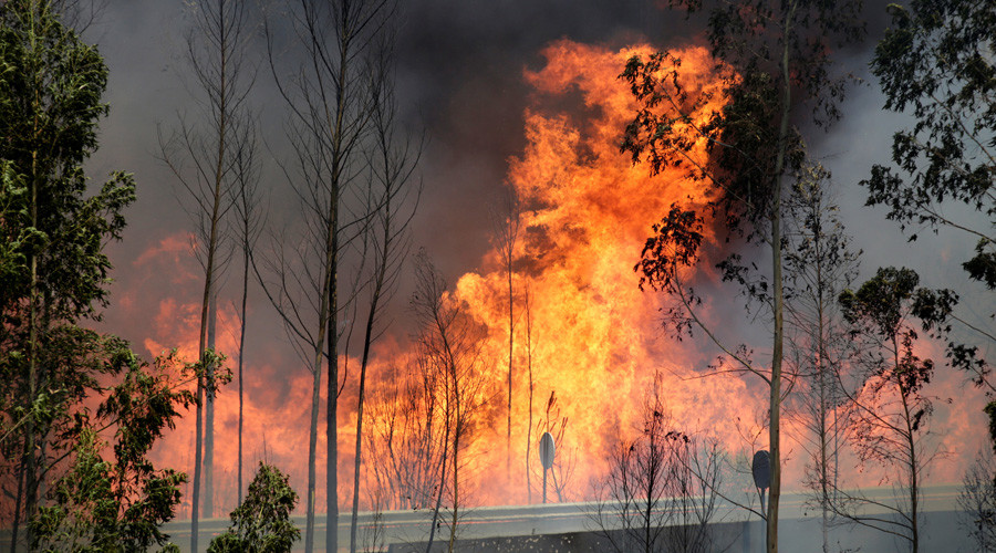 ‘Biggest tragedy in years’: At least 62 killed, 59 injured in Portugal forest fires (PHOTOS, VIDEO)