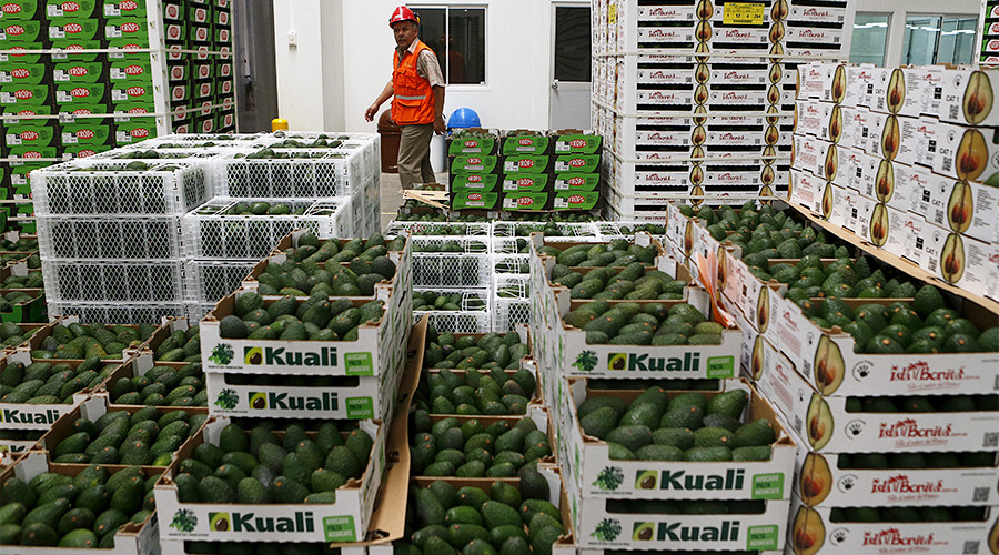Cops bust trio for ‘grand theft avocado’