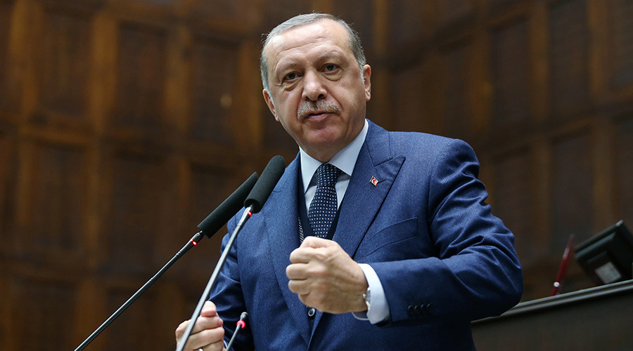 Erdogan struggles to find venue to address supporters in Germany on G20 sidelines – reports