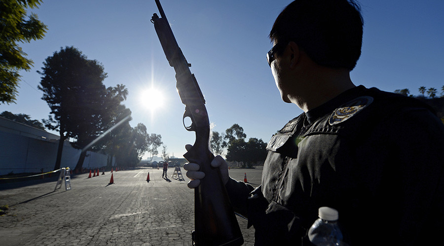 LA deputies kill teenager while shooting at a dog