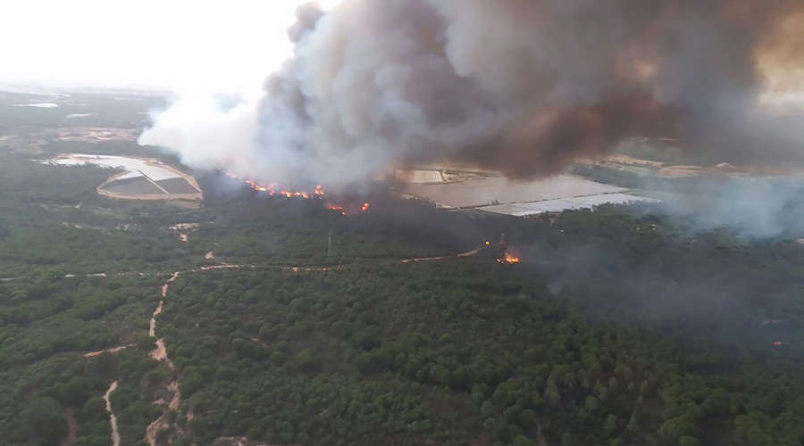 1000s evacuated as Spanish wildfire rips through UNESCO World Heritage site (PHOTOS, VIDEOS)