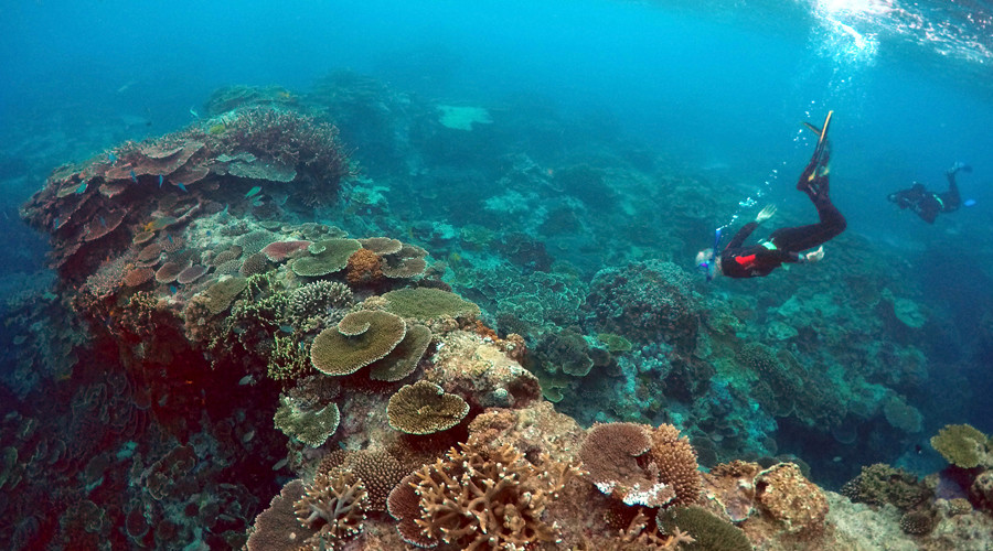 World’s largest organic structure now valued at $42.4bn - Deloitte report