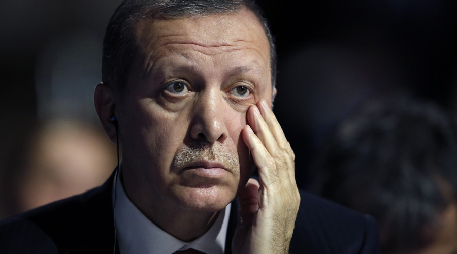 Erdogan public appearances outside G20 ‘inappropriate’ – German FM