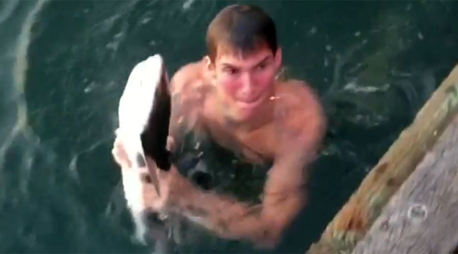 Teen catches endangered shark with bare hands (VIDEO)