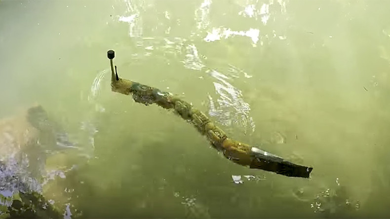 Freaky robotic eel to pinpoint poisonous metals in rivers & lakes ...