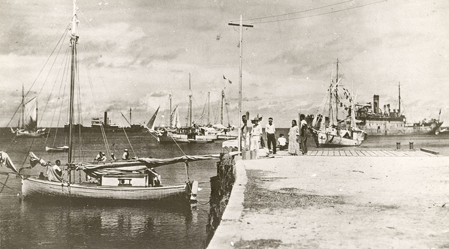 Amelia Earhart survived crash, new photo may prove