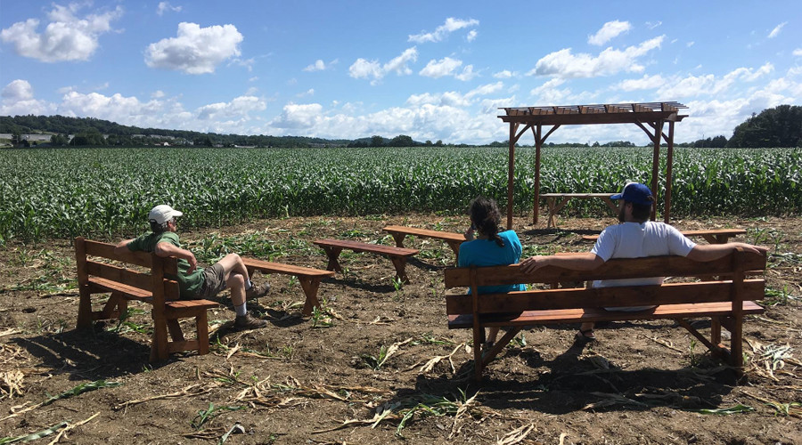 Nun too pleased: Sisters build outdoor chapel in protest at Pennsylvania pipeline route