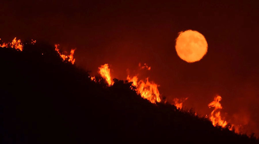 Mass evacuations, burned property as massive wildfires rage in California (PHOTOS, VIDEOS)