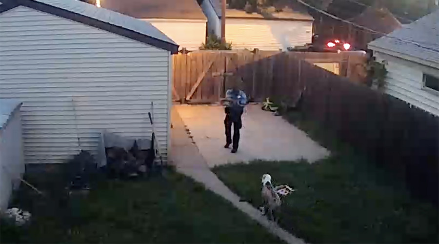 Minneapolis cop shoots 2 service dogs in backyard of suburban home (GRAPHIC VIDEO)