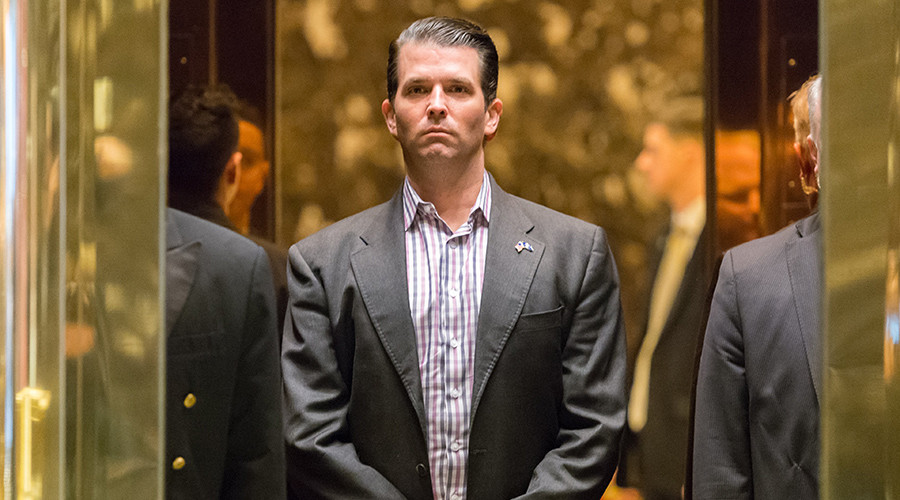 ‘Wild & overblown’: Lavrov blasts media hype over Trump Jr. meeting with Russian lawyer