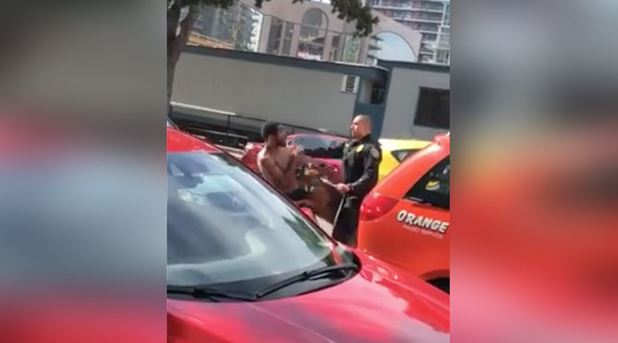 San Diego police let dog repeatedly attack handcuffed black man (VIDEO)