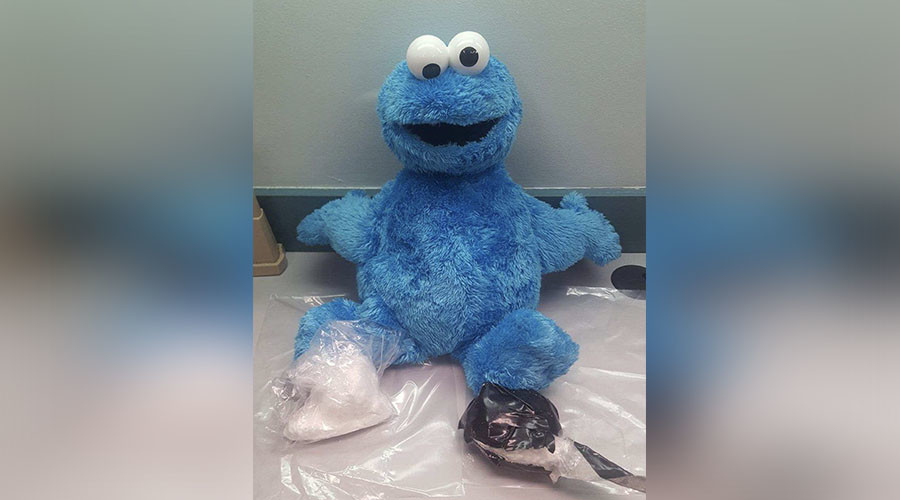 Cocaine monster: Drugs stash found in Sesame Street doll (PHOTO)