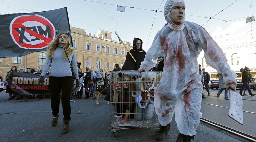 Activists demand urgent approval of bills targeting animal abuse